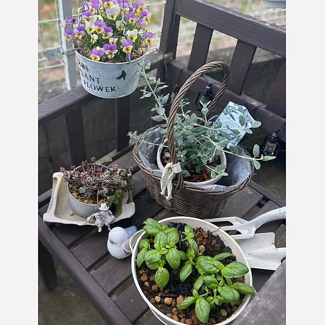 CoCo0617さんの部屋