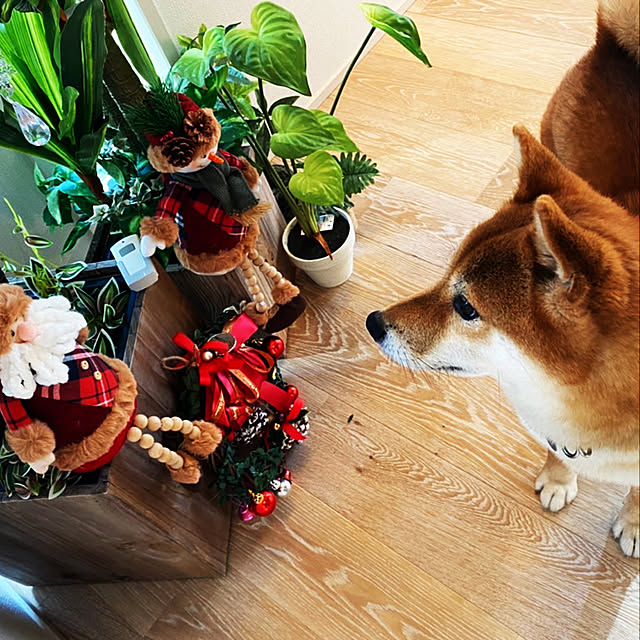 yuさんの実例写真