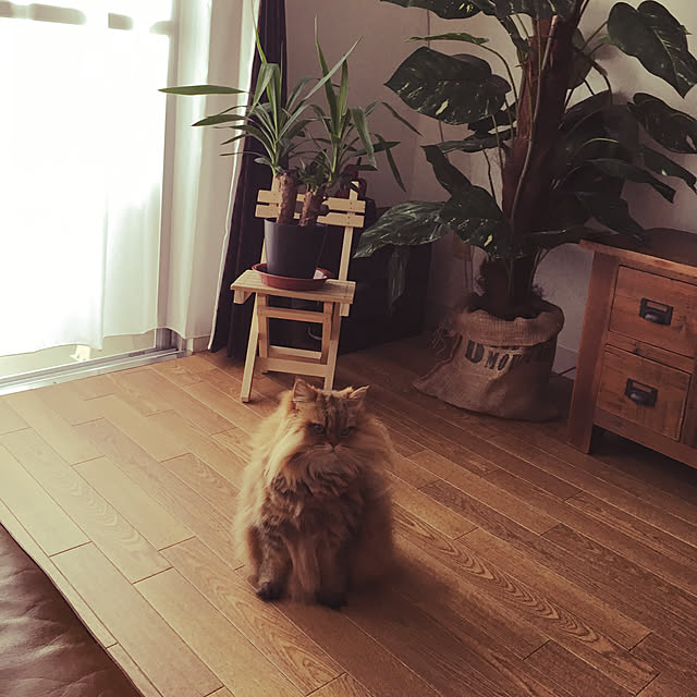 koharuさんの実例写真