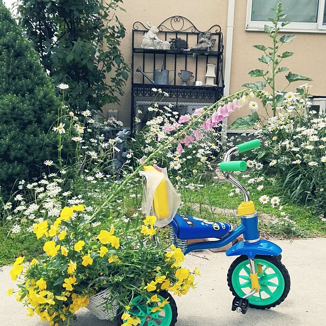 noraさんの実例写真