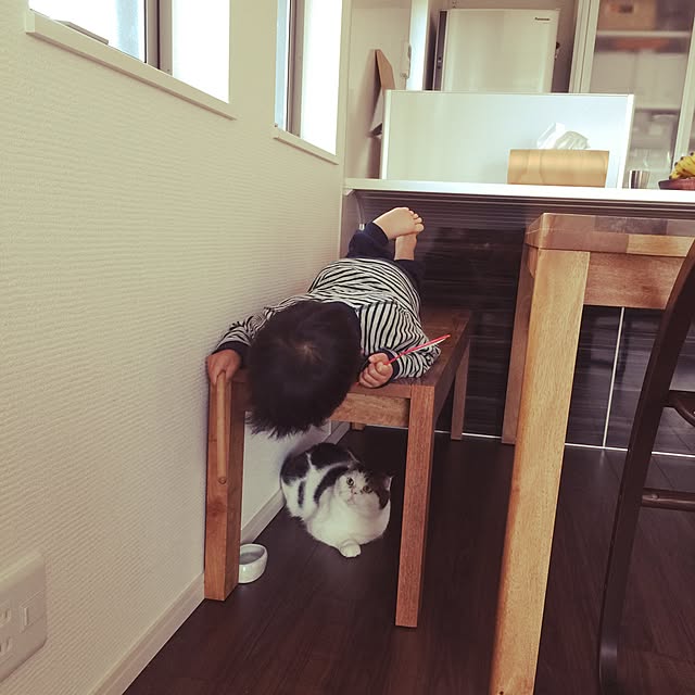 sakaemonさんの実例写真