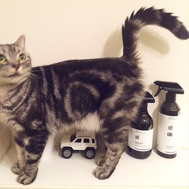 mikomaruさんの実例写真
