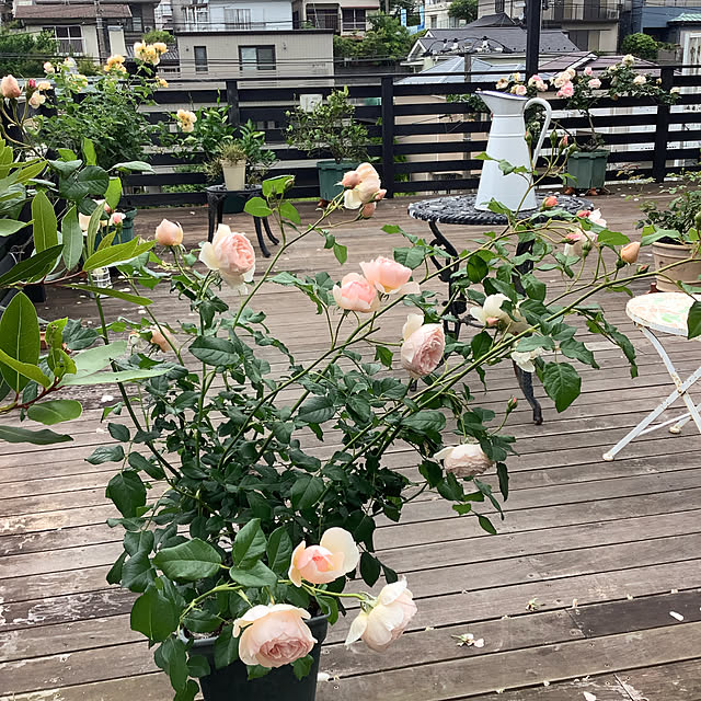 mamezoさんの実例写真