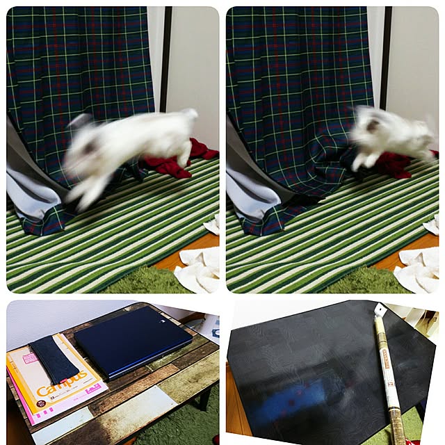 WASABIさんの実例写真