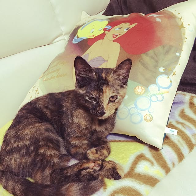 nmeeeさんの実例写真