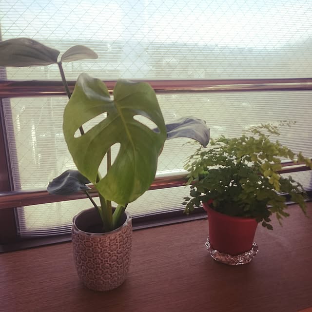 poさんの実例写真