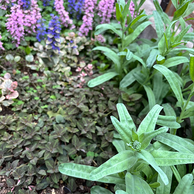 kyoko1124koさんの部屋