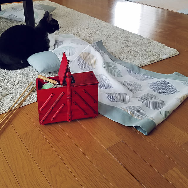 Kinanさんの実例写真