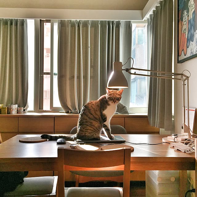 Rogerpanさんの実例写真