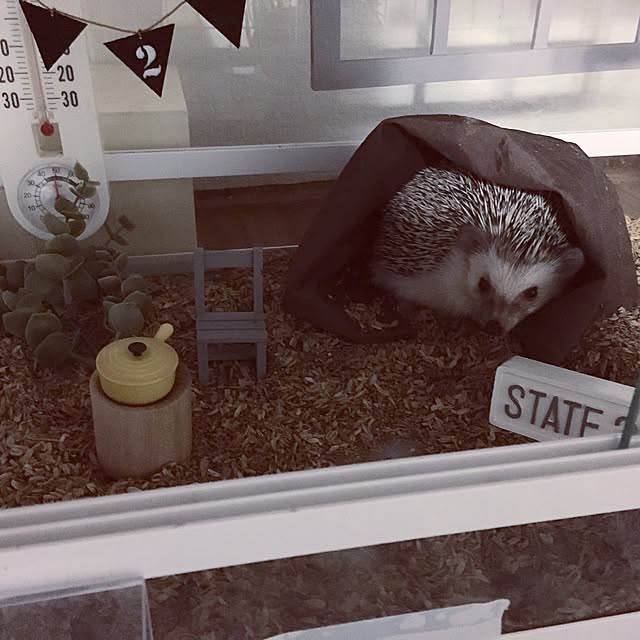 saokoさんの実例写真