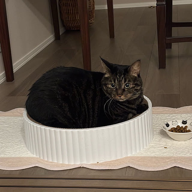 momocchiさんの部屋