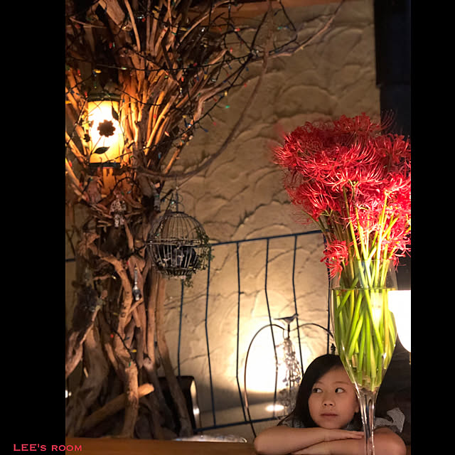 LEEさんの実例写真