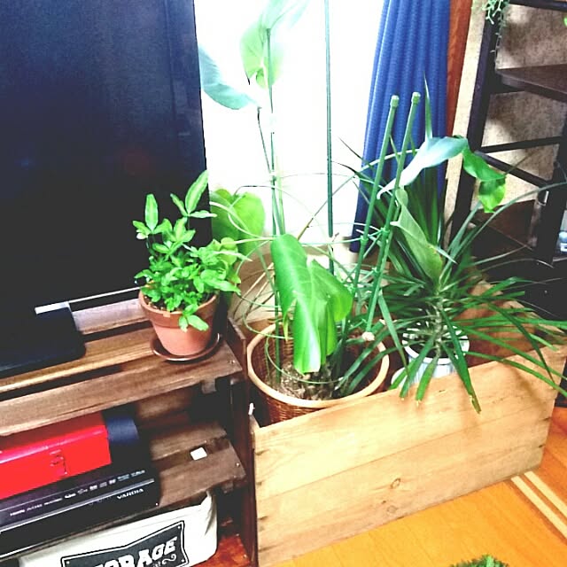 naokoさんの実例写真