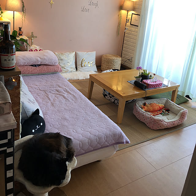 kanaさんの実例写真
