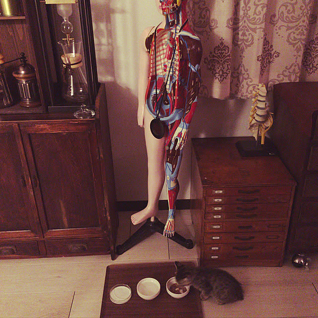 Mさんの実例写真