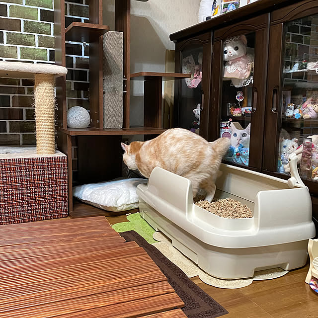 ike2910さんの部屋