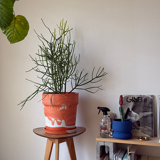 kokinさんの実例写真