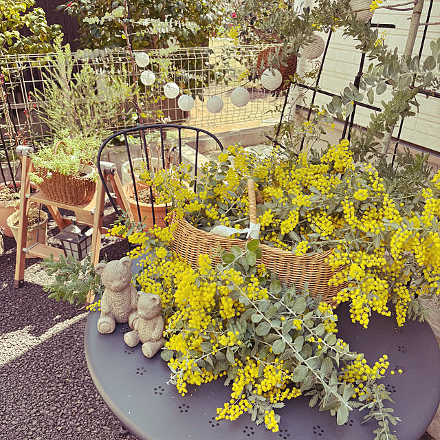 sariさんの部屋