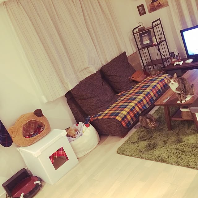 ayapiiiiceさんの実例写真