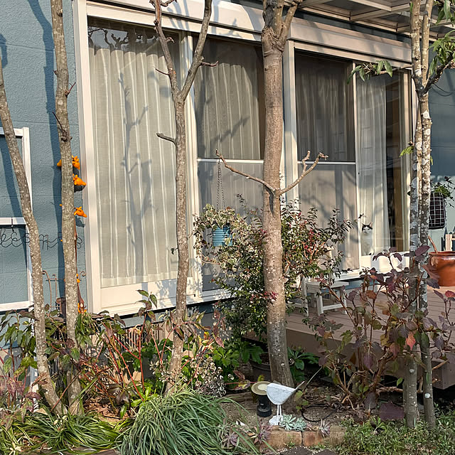 nobikoさんの部屋