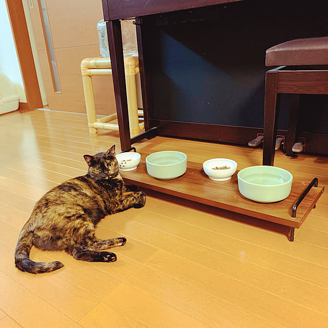 mameazさんの実例写真