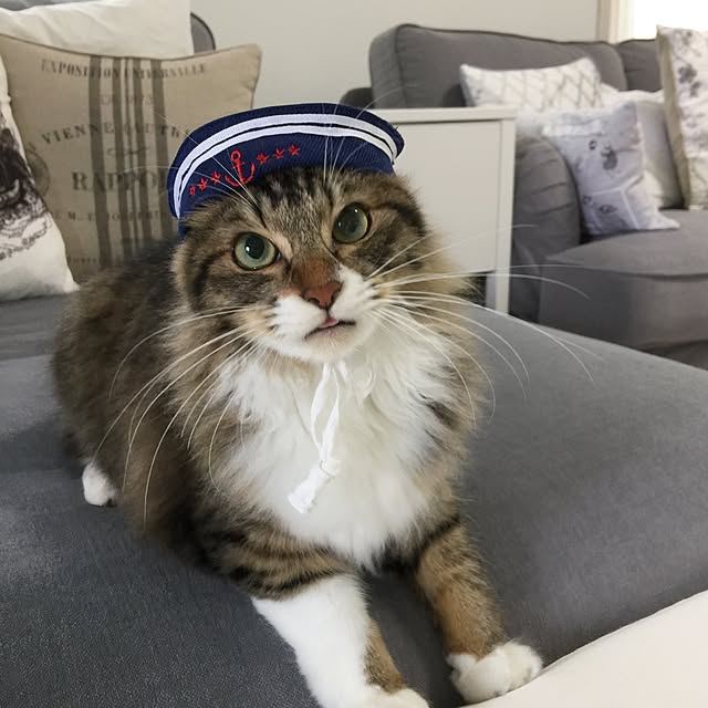 yuchiさんの実例写真