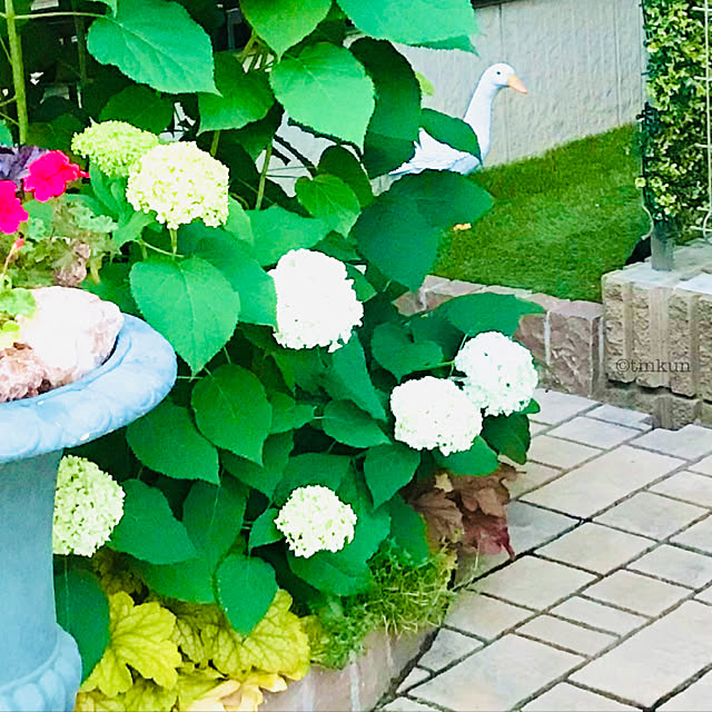 tinkunさんの実例写真