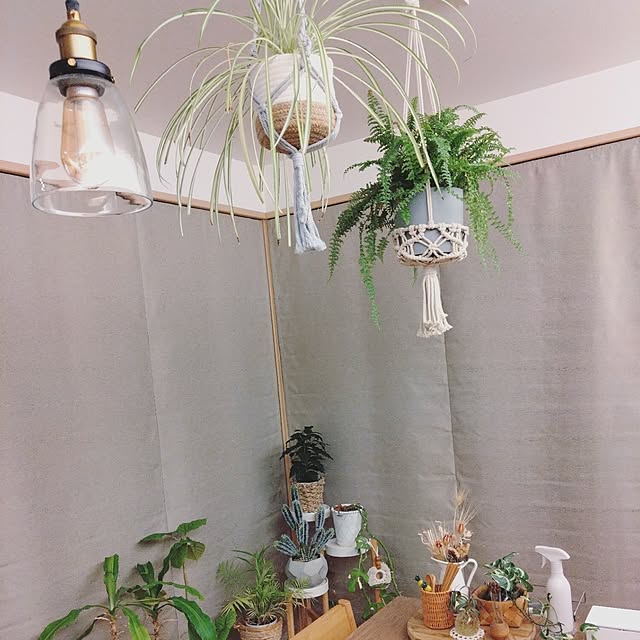 yu-さんの実例写真