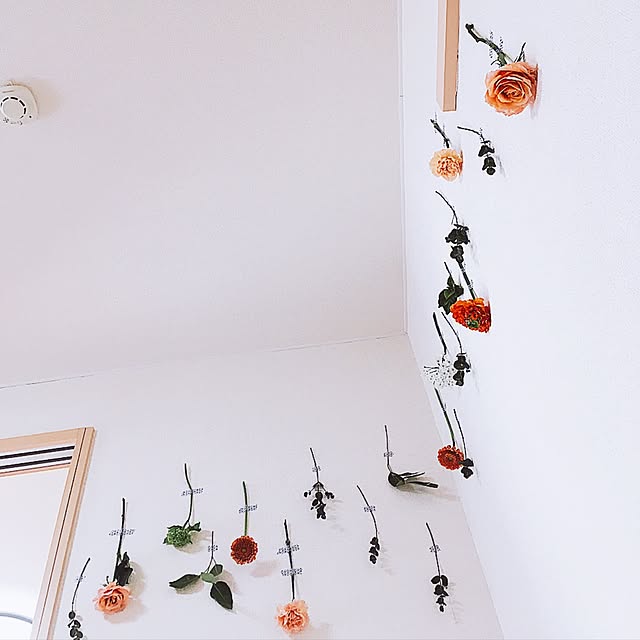 sacoさんの実例写真