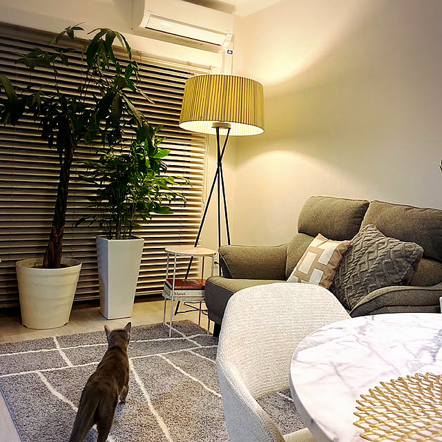 SeiraRoomさんの実例写真