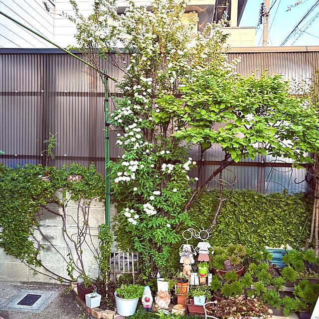 takakoさんの実例写真