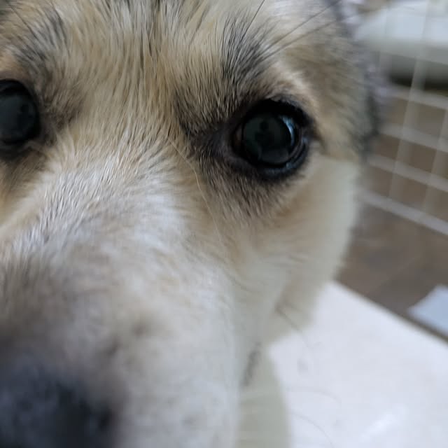 asaさんの部屋