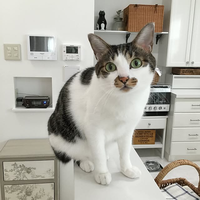 yuchiさんの実例写真