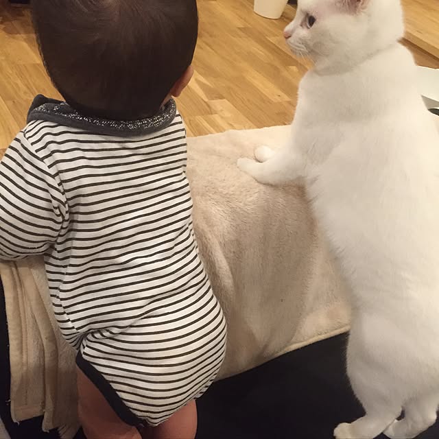 Chuppeetaさんの実例写真