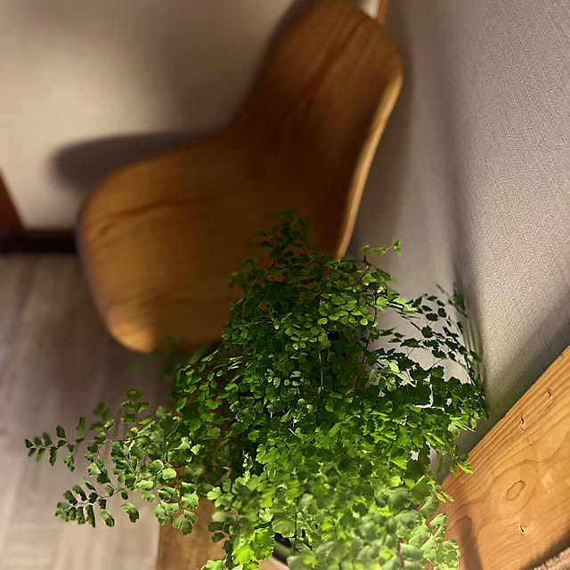 rookuさんの部屋