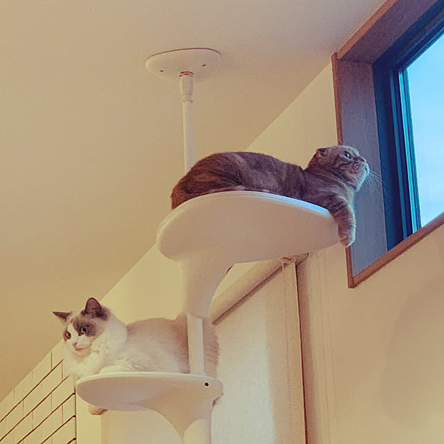 KJmaedaさんの実例写真