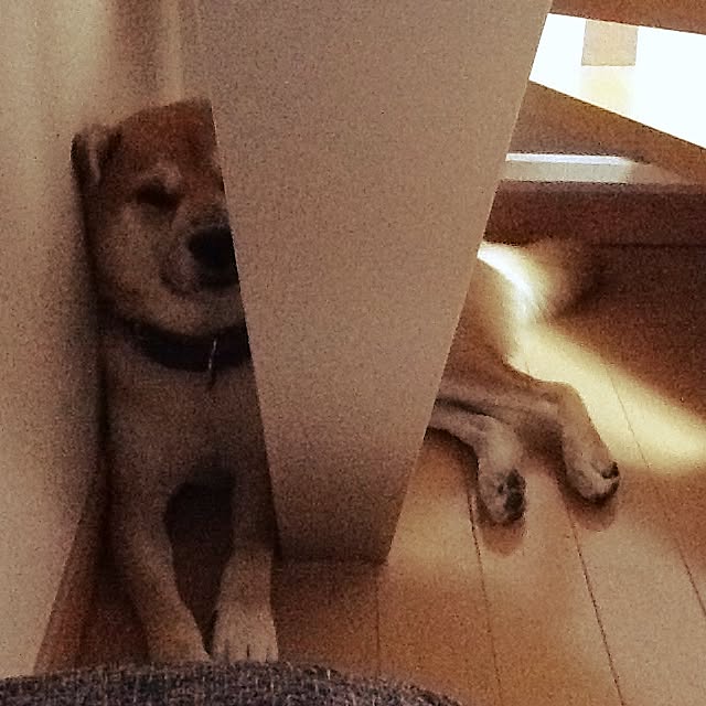 kotaさんの実例写真