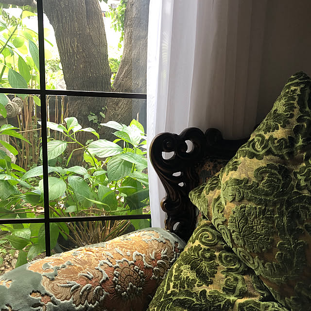 Toruさんの実例写真