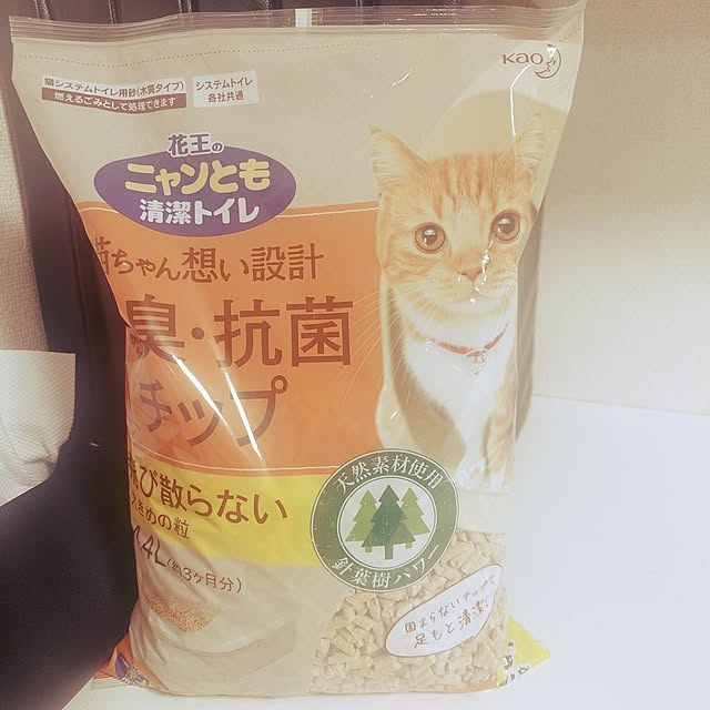 noguriさんの部屋