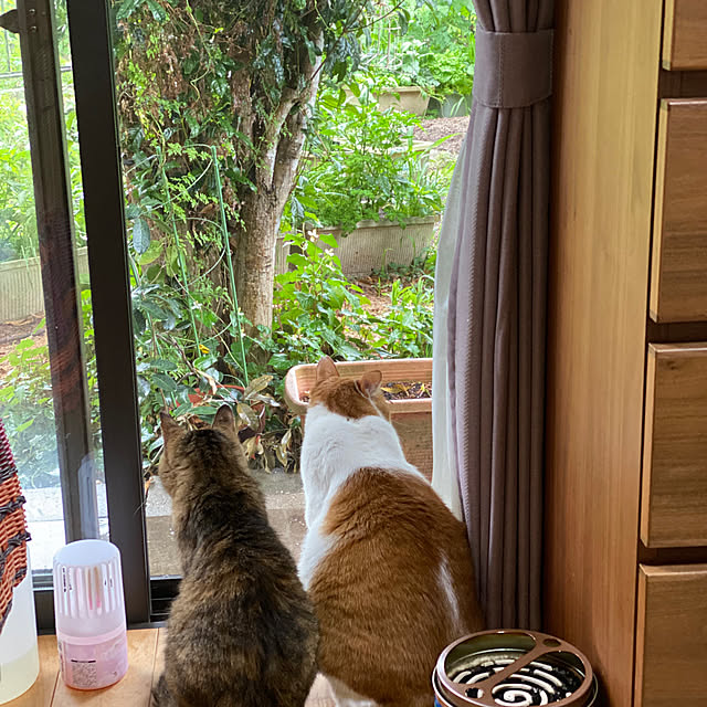 akemiさんの実例写真