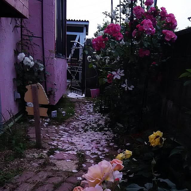 ganamiさんの実例写真