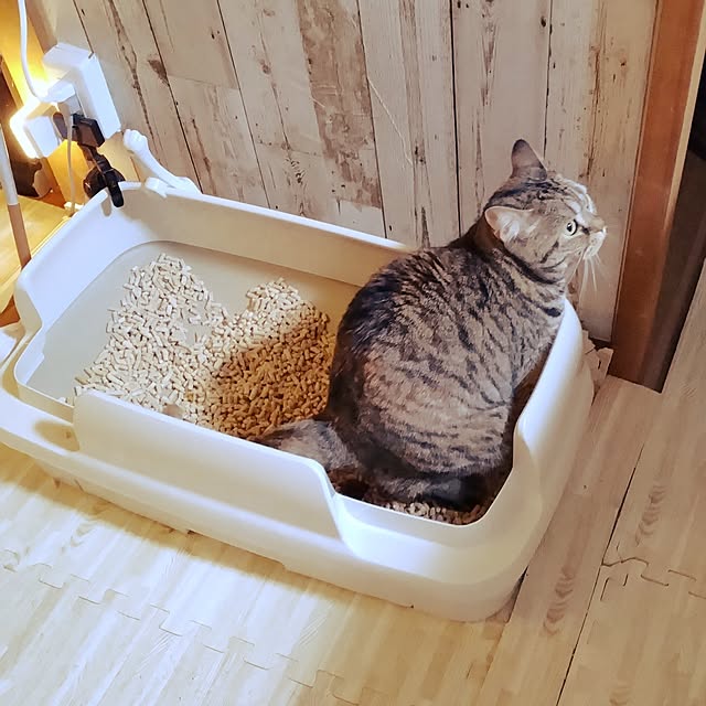 runaさんの実例写真