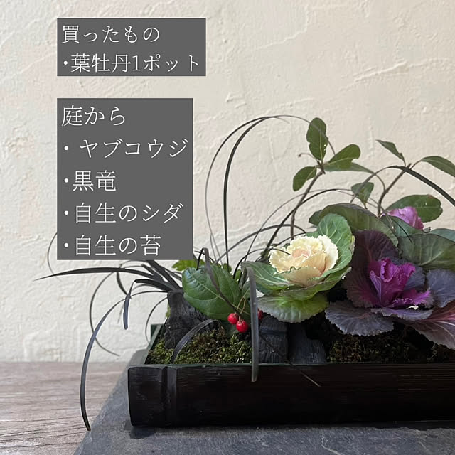 kinu-itoさんの部屋
