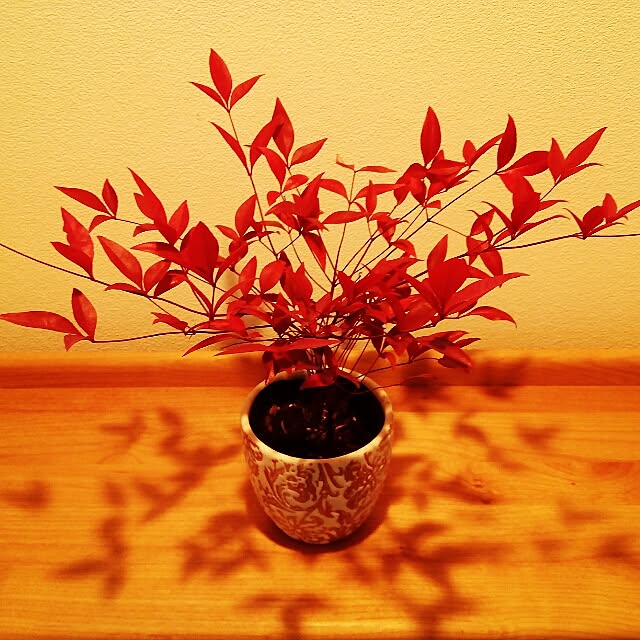 VERANDARJUNさんの実例写真