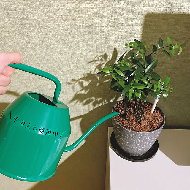 viewgardenさんの実例写真