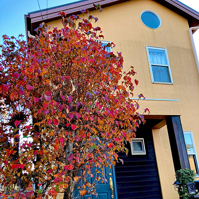 JIJIさんの実例写真