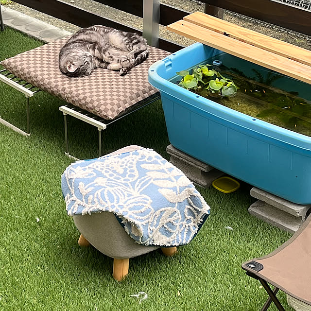 zabonzabonさんの実例写真