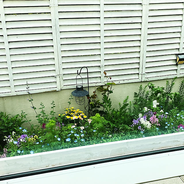 ron-anさんの部屋