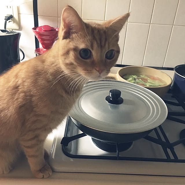 rumiさんの実例写真