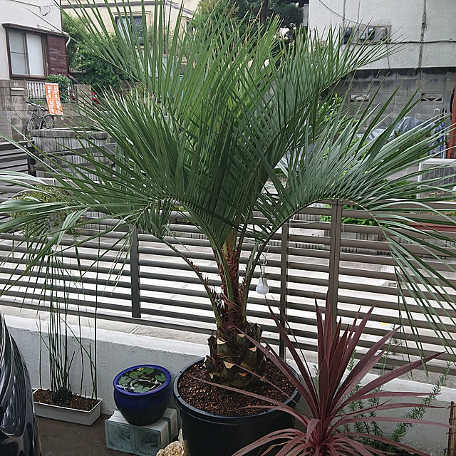 hideさんの実例写真